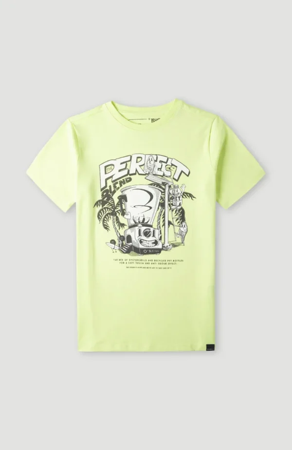 Blend T-shirt | | O’Neill Online