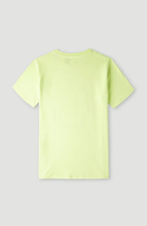 Blend T-shirt | | O’Neill Online