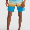 Boardshort Heat Stripe Line 19'' | | O’Neill Cheap