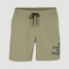 Cali FSS 16'' Zwemshort | | O’Neill Cheap