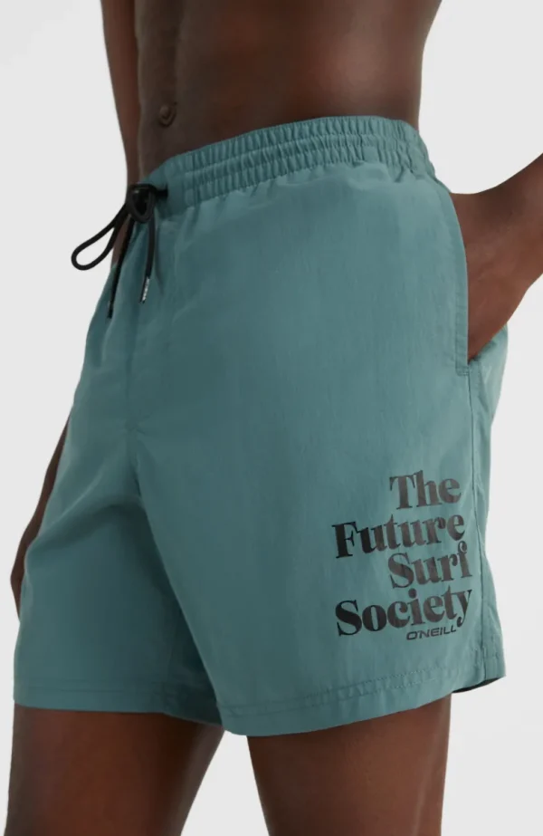 Cali FSS 16'' Zwemshort | | O’Neill Sale