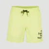 Cali FSS 16'' Zwemshort | | O’Neill New
