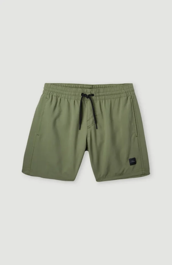 Cali Hybrid 13" Zwemshort | | O’Neill Shop