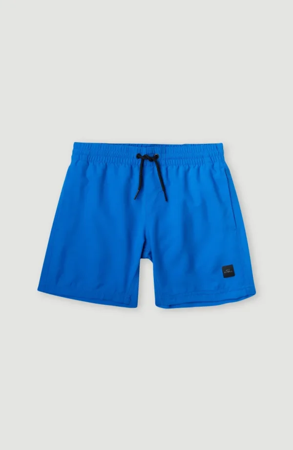 Cali Hybrid 13" Zwemshort | | O’Neill Store