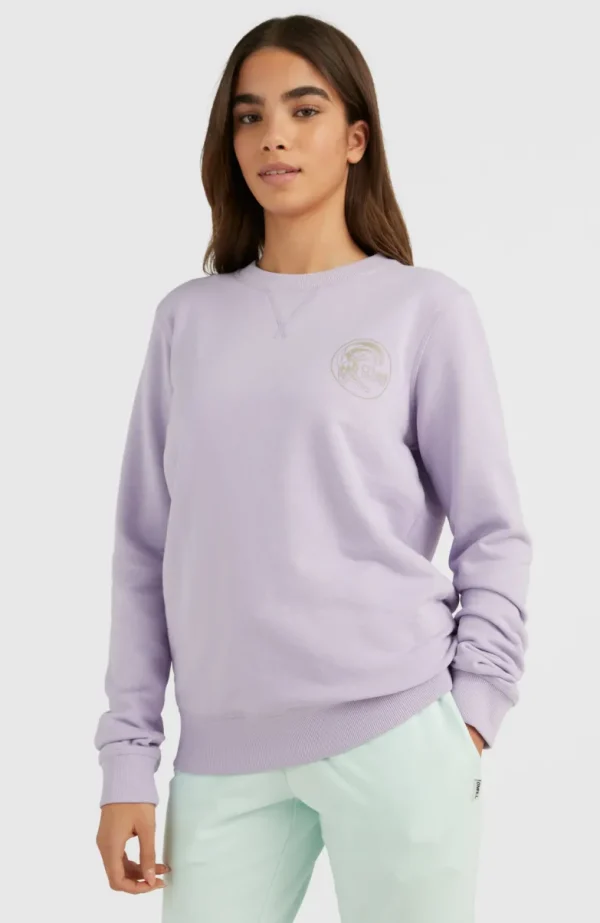 Circle Surfer Crew Sweatshirt | | O’Neill Best Sale