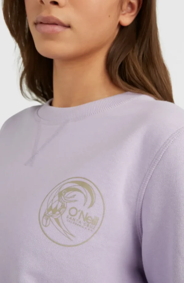 Circle Surfer Crew Sweatshirt | | O’Neill Best Sale