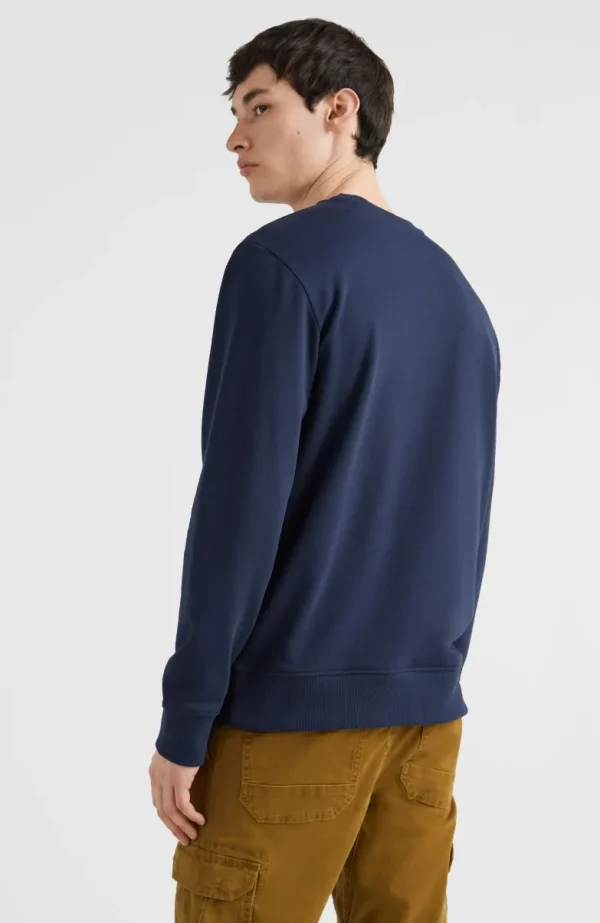 Circle Surfer Crew Sweatshirt | | O’Neill Store