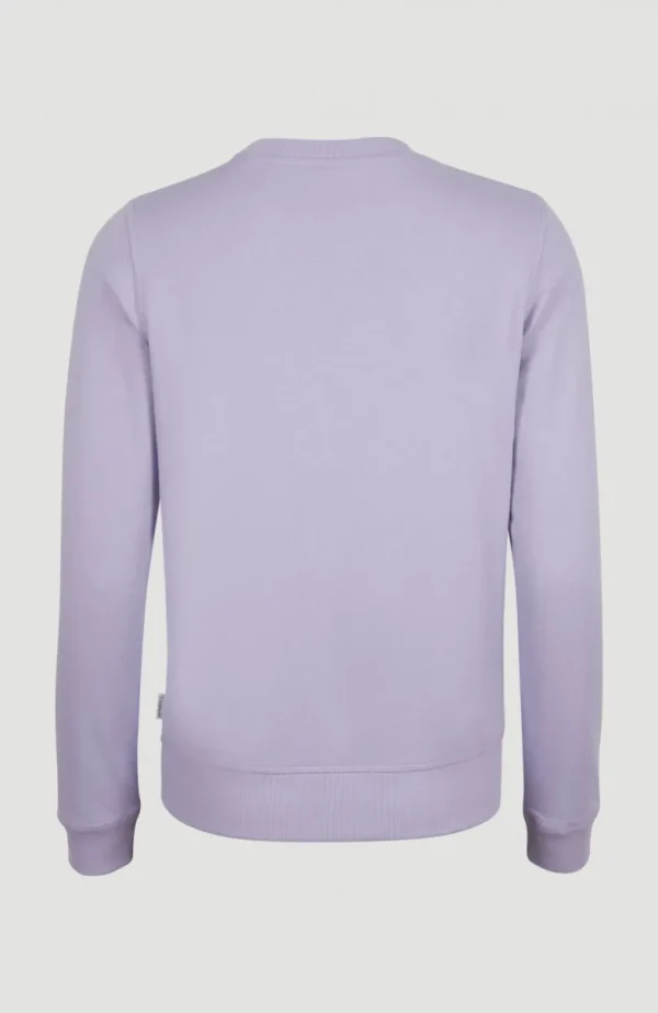 Circle Surfer Crew Sweatshirt | | O’Neill Best Sale