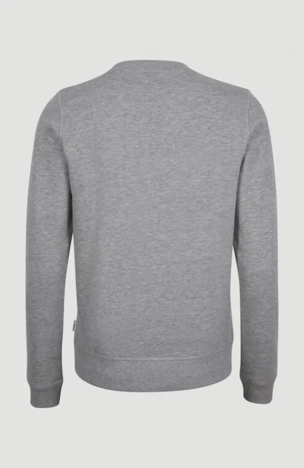 Circle Surfer Crew Sweatshirt | | O’Neill Outlet