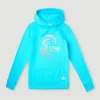 Circle Surfer Hoodie | | O’Neill Online