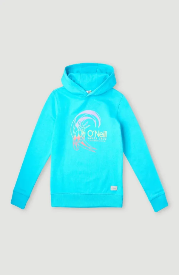 Circle Surfer Hoodie | | O’Neill Online