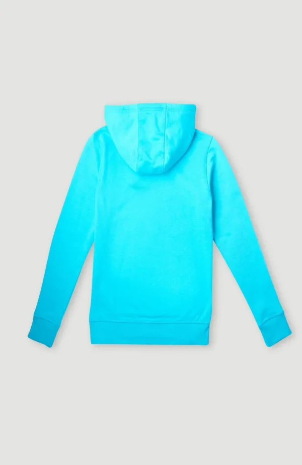 Circle Surfer Hoodie | | O’Neill Online