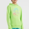 Circle Surfer Hoodie | | O’Neill Online