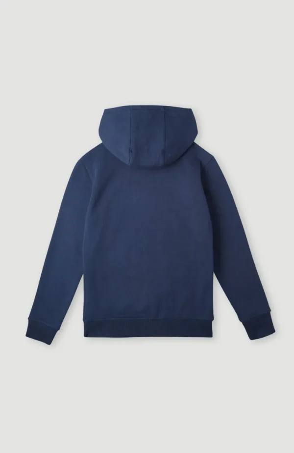 Circle Surfer Hoodie | | O’Neill Cheap