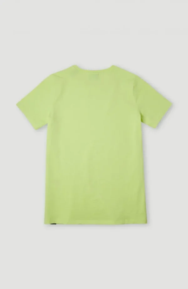 Circle Surfer T-Shirt | | O’Neill Hot