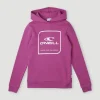 Cube Hoodie | | O’Neill New