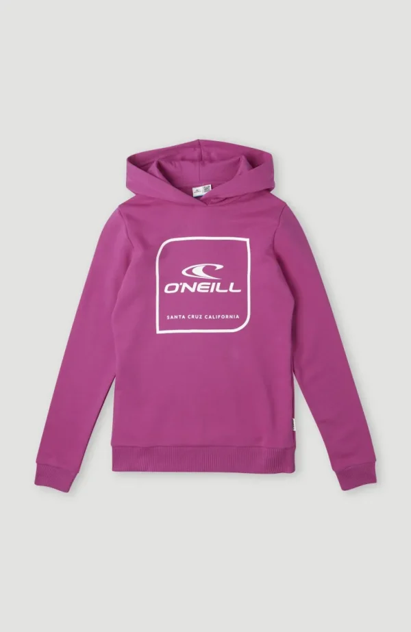 Cube Hoodie | | O’Neill New