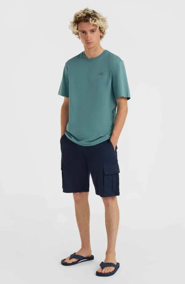 Essentials Cargoshort | | O’Neill Best