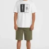 Essentials Chinoshort | | O’Neill Discount