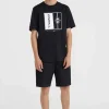 Essentials Chinoshort | | O’Neill Clearance