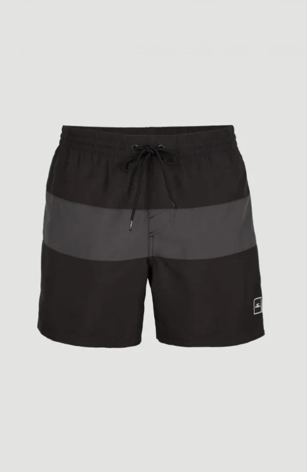 Frame Block Swim Short | | O’Neill Outlet