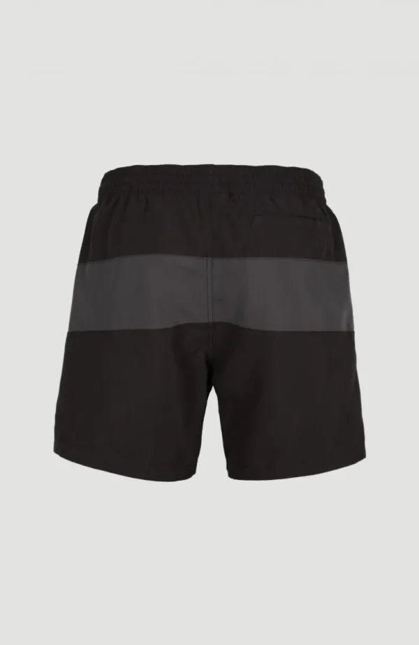 Frame Block Swim Short | | O’Neill Outlet