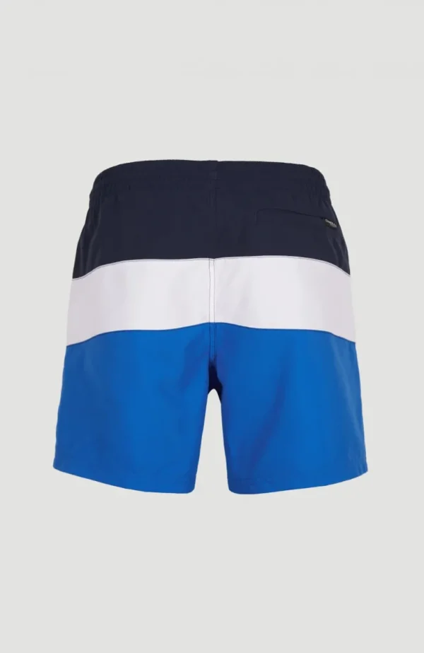 Frame Block Swim Short | | O’Neill Flash Sale