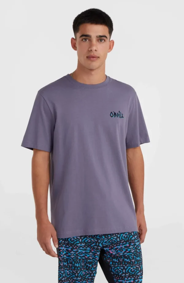 Framed T-shirt | | O’Neill New