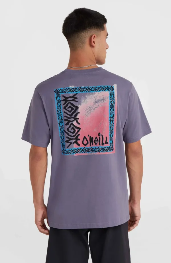 Framed T-shirt | | O’Neill New