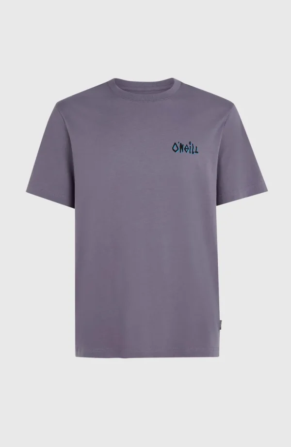 Framed T-shirt | | O’Neill New
