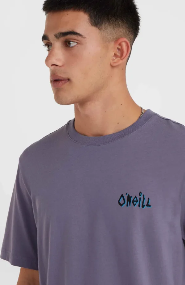 Framed T-shirt | | O’Neill New