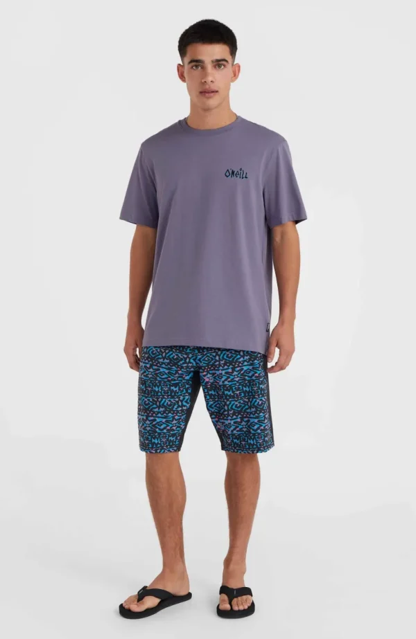Framed T-shirt | | O’Neill New