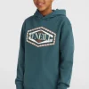 Front Print Hoodie | | O’Neill Discount