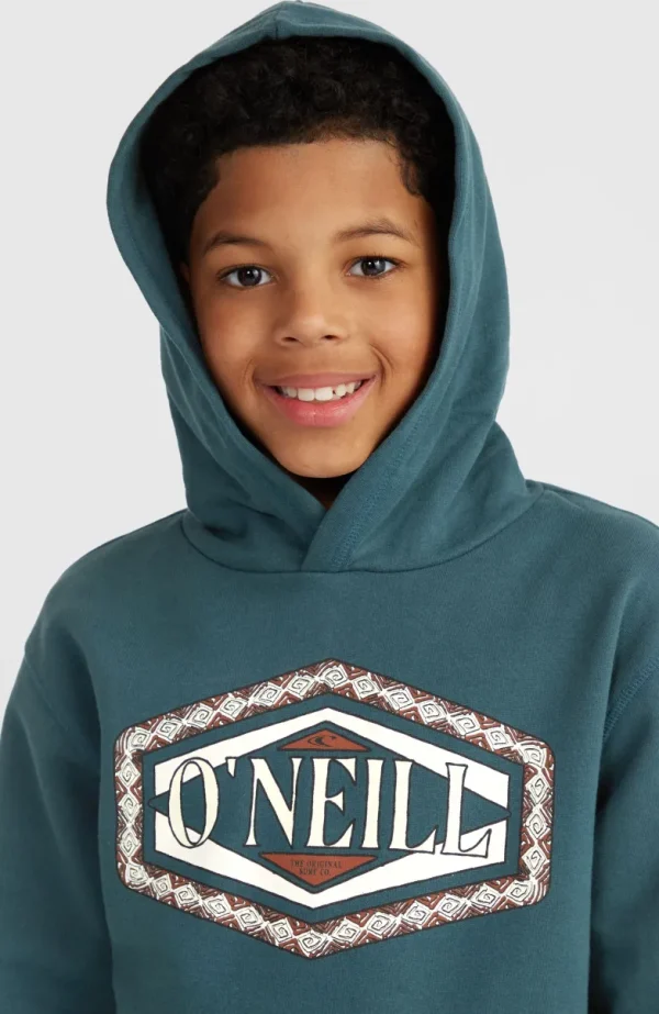 Front Print Hoodie | | O’Neill Discount