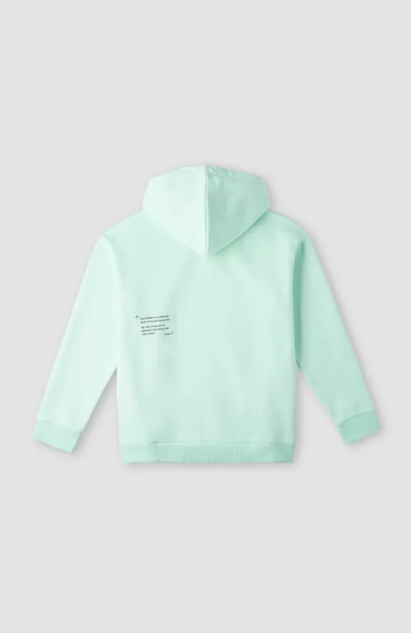 Future Surf Hoodie | | O’Neill Outlet