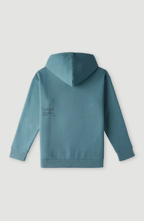 Future Surf Hoodie | | O’Neill Fashion