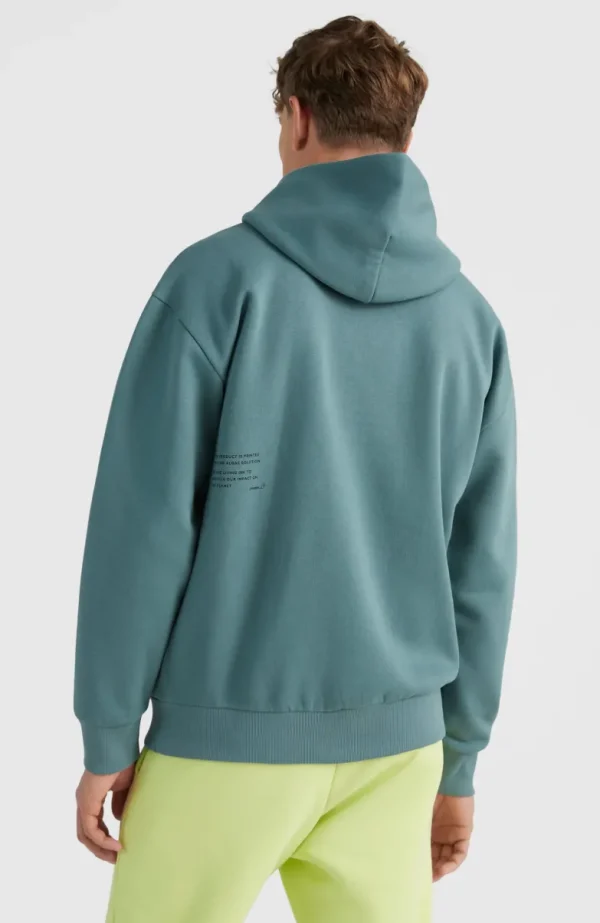 Future Surf Hoodie | | O’Neill Cheap