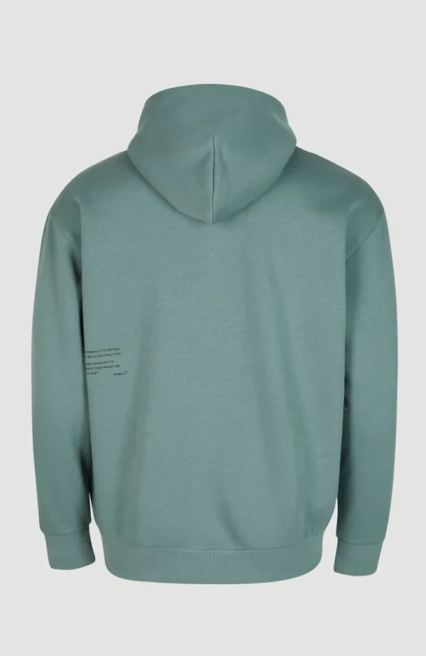 Future Surf Hoodie | | O’Neill Cheap