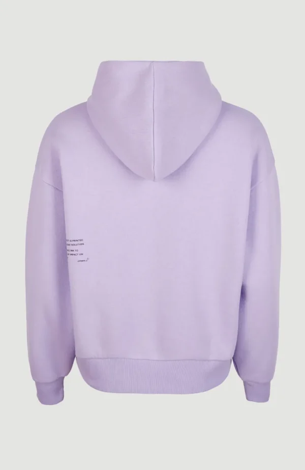 Future Surf Hoodie | | O’Neill Sale