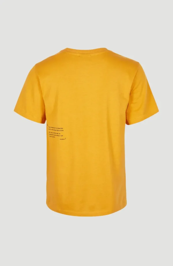 Future Surf Regular T-shirt | | O’Neill Outlet