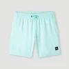 Future Surf Society 14'' Zwemshort | | O’Neill Store