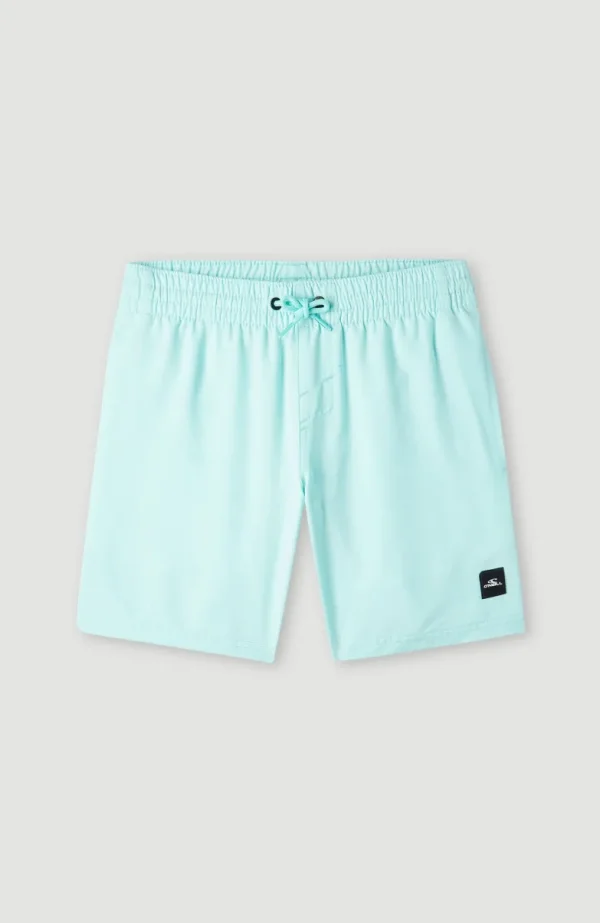 Future Surf Society 14'' Zwemshort | | O’Neill Store