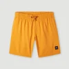 Future Surf Society 14'' Zwemshort | | O’Neill Shop