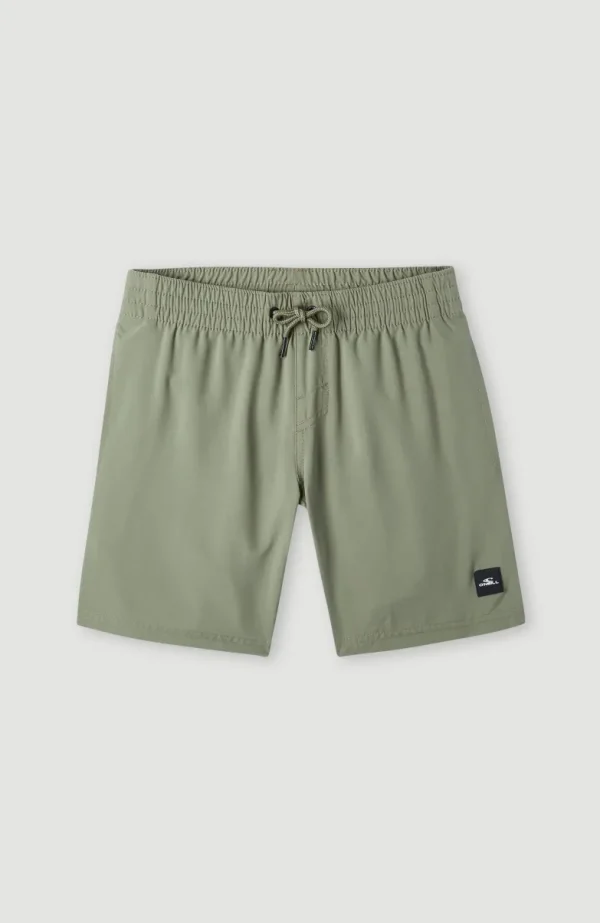 Future Surf Society 14'' Zwemshort | | O’Neill Flash Sale