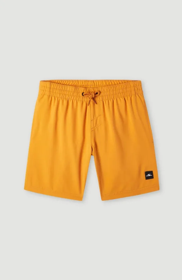 Future Surf Society 14'' Zwemshort | | O’Neill Shop