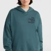 Future Surf Society Hoodie | | O’Neill Flash Sale