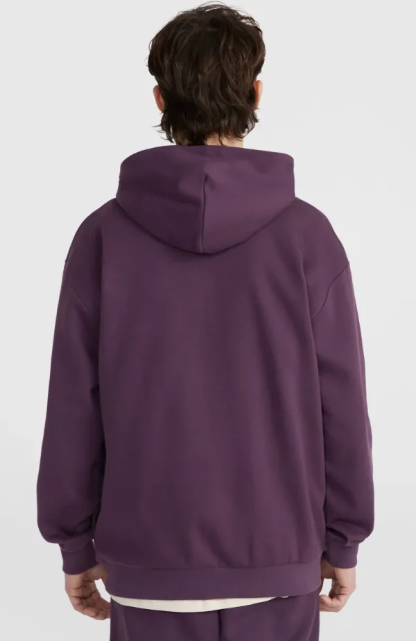 Future Surf Society Hoodie | | O’Neill Online