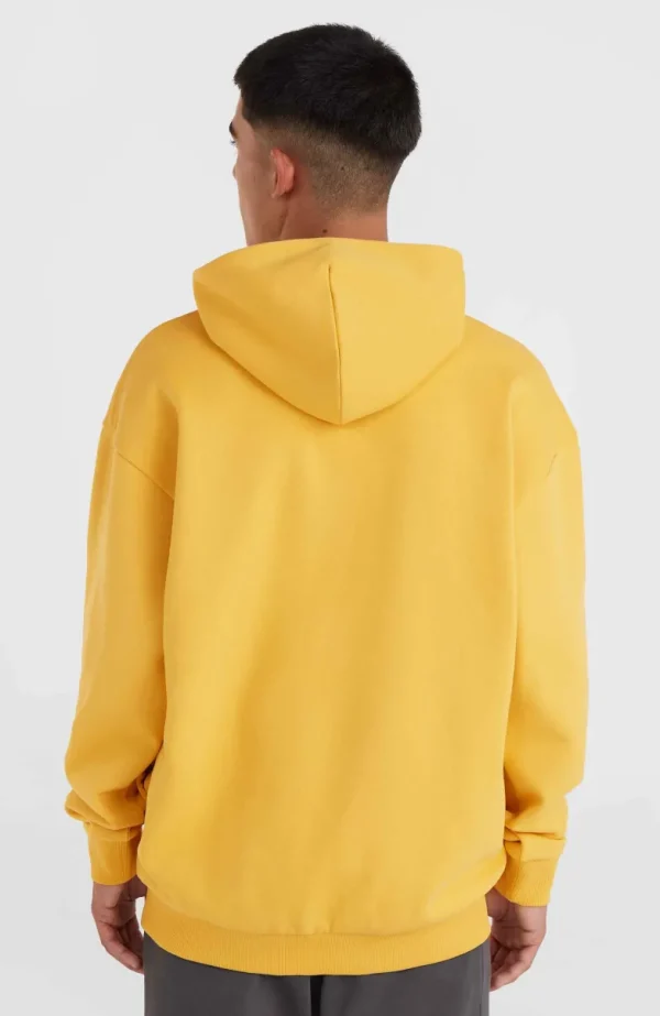 Future Surf Society Hoodie | | O’Neill Outlet