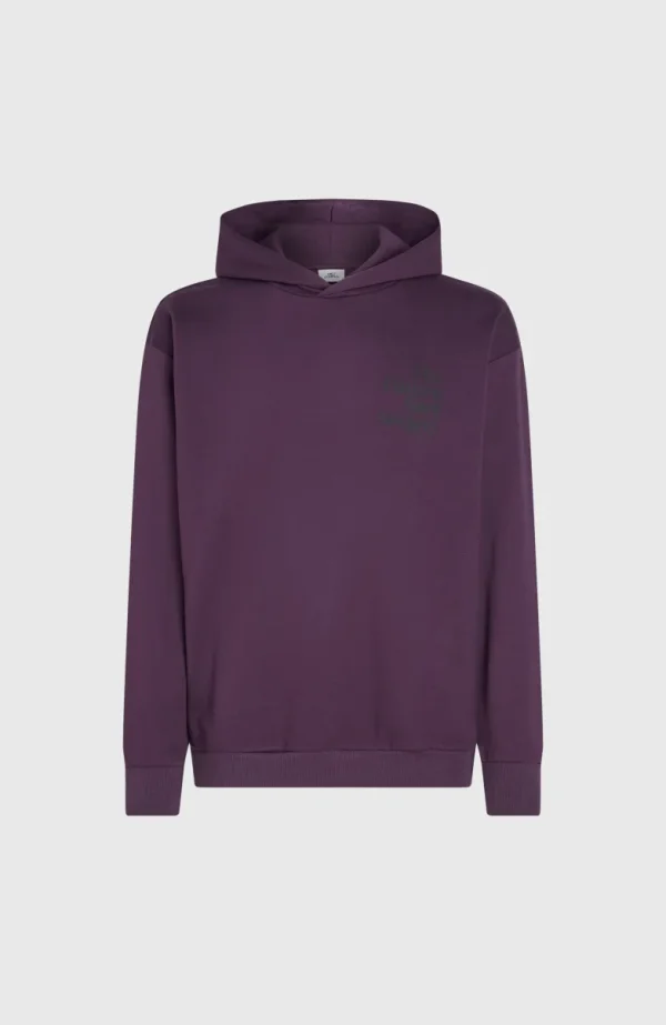 Future Surf Society Hoodie | | O’Neill Online