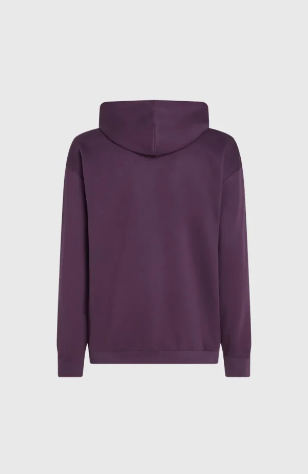 Future Surf Society Hoodie | | O’Neill Online